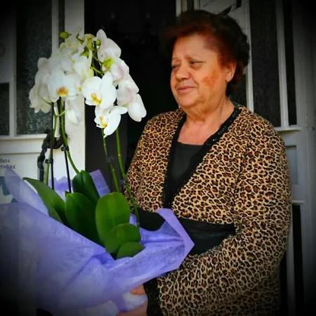 El Tio Mateo Maison d'hôtes *