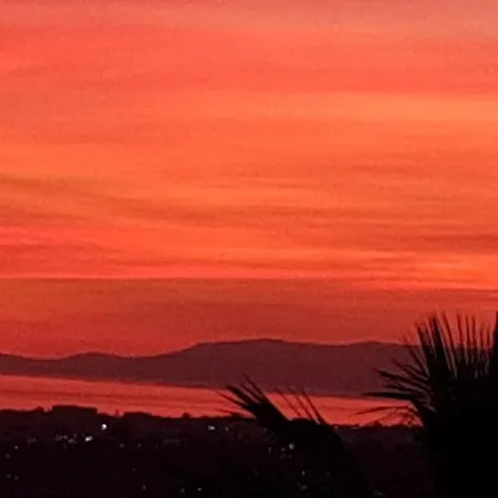 El Tio Mateo * Marbellac