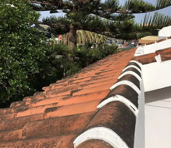 Casa de hóspedes El Tio Mateo *