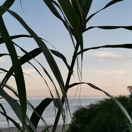 El Tio Mateo Marbella