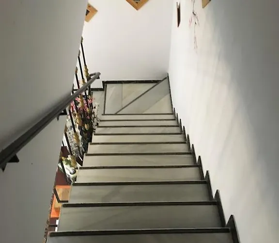 El Tio Mateo