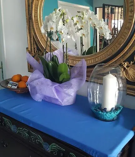 El Tio Mateo ゲストハウス マルベーリャ