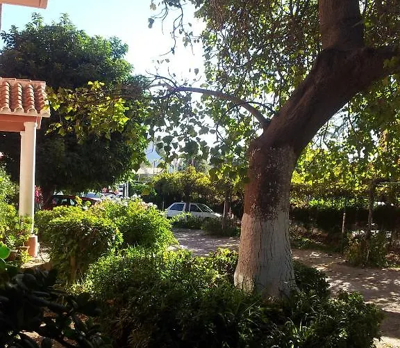 ゲストハウス El Tio Mateo マルベーリャ