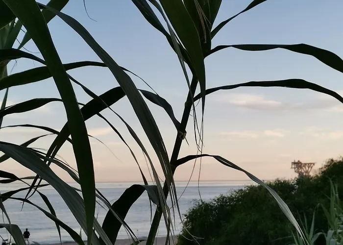 El Tio Mateo マルベーリャ