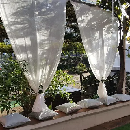 El Tio Mateo Marbella